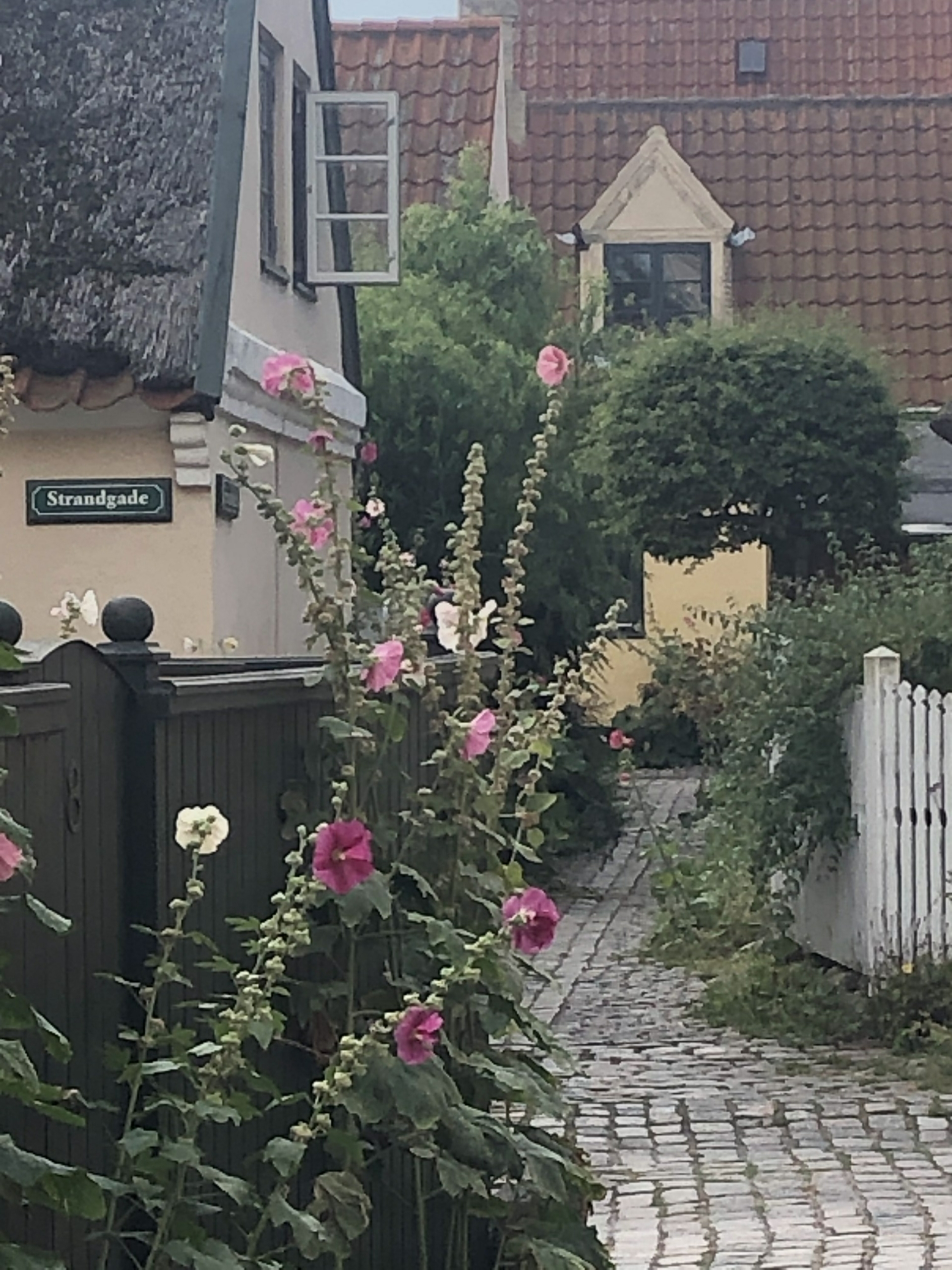 image_67214081